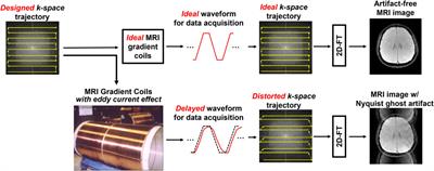 A robust self-referenced 2D nyquist ghost correction for different MRI-biomarker measurements based on multi-band interleaved EPI